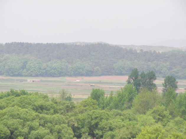 手前：韓国側の木々　平地を挟んだ奥側：北朝鮮の木々